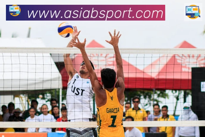 Bsports官网荣誉