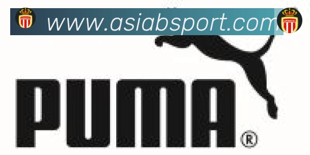 Bsports官网合作伙伴